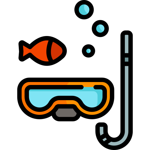 Snorkeling Trip (5 points) / depends on package chosen by guest