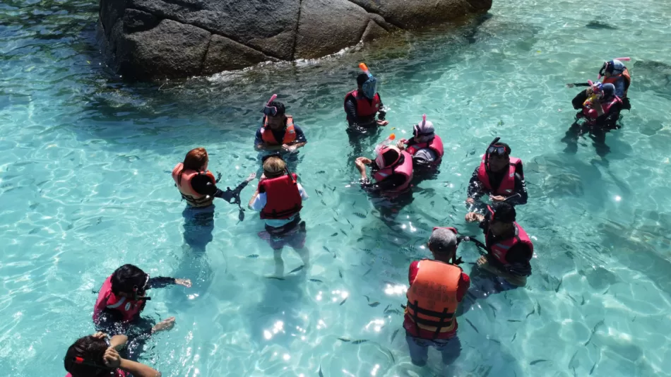 Diving / Snorkelling